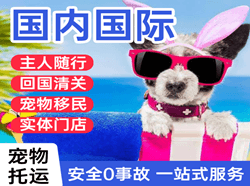 白城空运地址国际宠物托运 【国